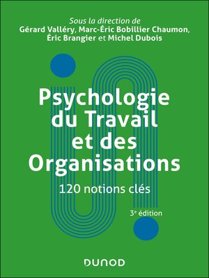 cover image of Psychologie du Travail et des Organisations